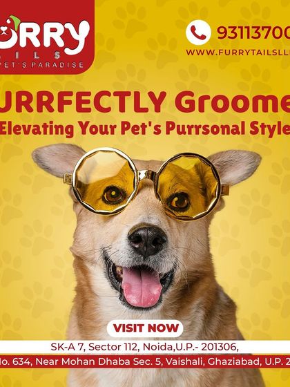 Let us elevate your pet's personal style. Our "Purrfectly Groomed" services ensure your pet looks cool, feels great, and is ready to turn heads.