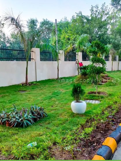 Lush Lawns & Garden Landscaping photo 6