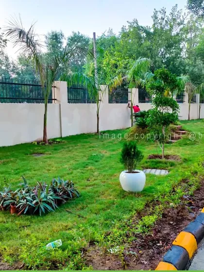 Another angle of our landscaping work, showing how we use a mix of trees, shrubs, and lawn to create a varied and natural-looking environment along a boundary wall.