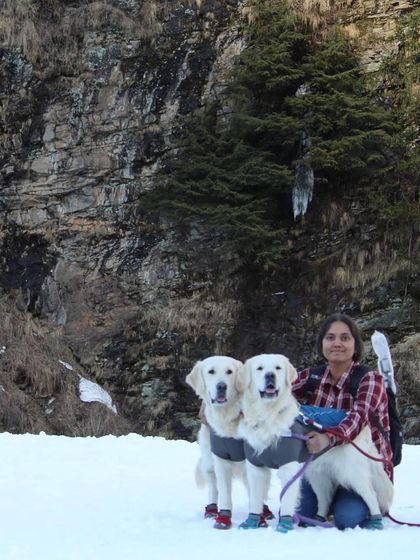 Deepthi - Dog Travel & Adventure Coaching Mountain & Trail Expeditions photo 4