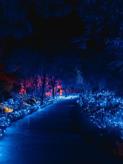 Dramatic Sangeet & Cocktail Nights photo 84