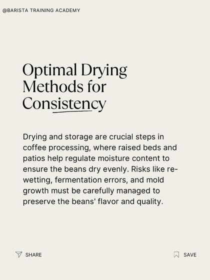 To avoid mold growth and fermentation errors, coffee beans must be dried evenly. We cover the best practices for this critical stage.