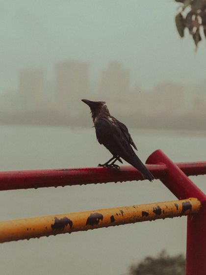 Additional Work photo 24