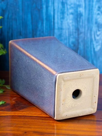 Thorny Affair - Pots & Planters Artisanal Ceramic Planters photo 22