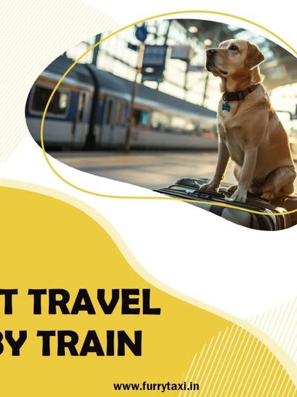 If you are planning to travel with your pet by train, I can help with the transport to the station and provide guidance.
