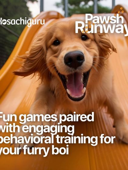 An invitation to our Pawsh Runway event, featuring fun games and behavioral training for your furry friend. It's a day for paw-sitive energy and fun.