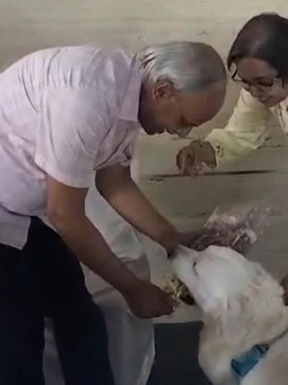 Deepthi - Dog Training & Behavior Modification Community & Group Activities photo 12