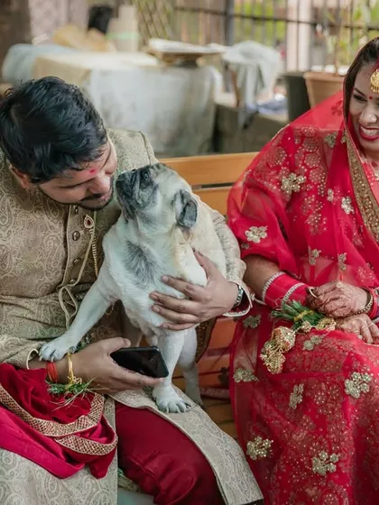 A heartwarming moment as the couple shares a quiet minute with their pug on a swing. It's a perfect example of how we can include beloved pets in your wedding day memories.