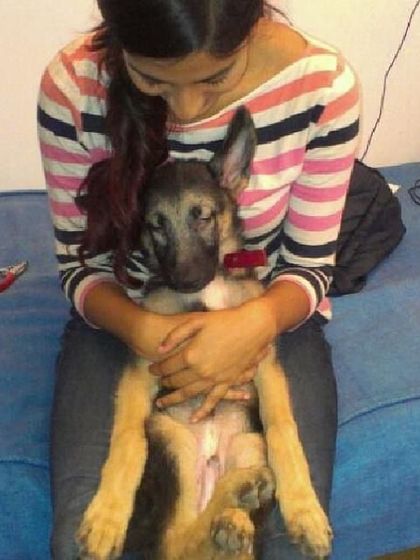 This is baby Jedi when I first started training him 11 years ago. It's a privilege to watch them grow from little puppies into beloved family members.