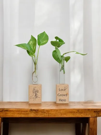 This "Love Grows Here" sustainable gift set features two plant propagation stations made from eco-friendly cork blocks, perfect for growing memories and showing a commitment to a greener future.