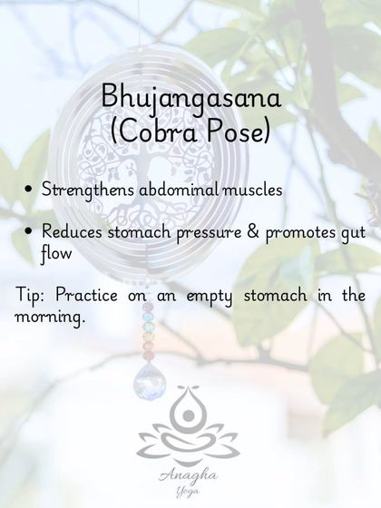 Anagha Yoga - Therapeutic Yoga Yoga for Digestive Wellness photo 22