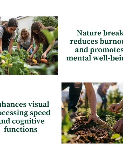 Healing Garden - Corporate Wellness & Team Building Our Wellness Philosophy photo 3