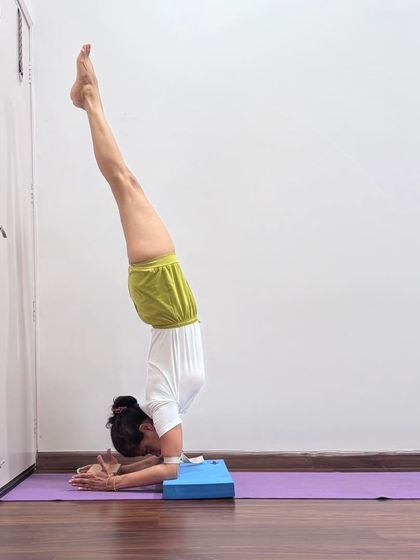 This variation of Pincha Mayurasana shows the hands clasped, similar to a headstand. This requires significant shoulder opening and strength, and is an advanced stage of the asana.