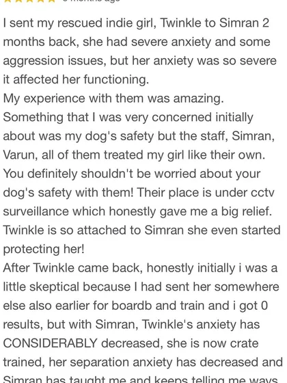 Client reviews like this are our biggest motivation. Knowing we helped Twinkle with her severe anxiety and earned her owner's trust means the world to us.