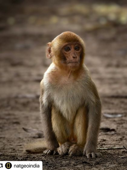 Behind the Lens & Published Work photo 5