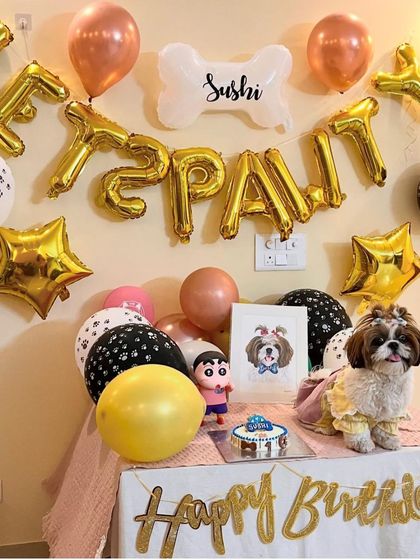 Another great "Let's Pawty" setup for Sushi's birthday. Our cakes and party packs make planning a dog's birthday easy and fun.