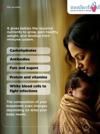 Lactation & Infant Feeding Support