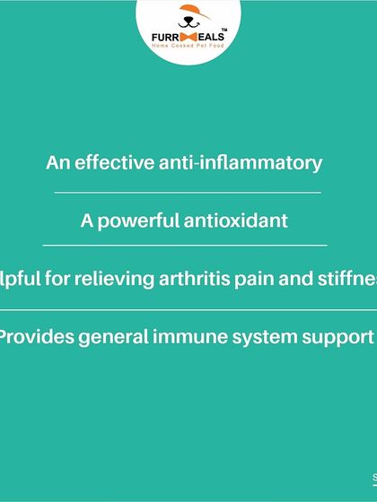 This series takes a closer look at the incredible health benefits of turmeric. Learn how this simple spice can support heart health, reduce inflammation, and provide general immune system support for your dog.