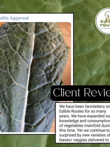 We love hearing from our happy farmletters. Mudita Aggarwal shares how she continues to be surprised by the new varieties of leaves and veggies we deliver, expanding her family's knowledge and consumption of fresh produce.