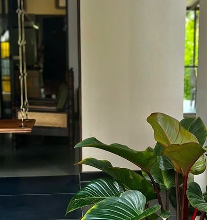 Rakshith Landscaping - Landscape Design & Installation Plant & Tree Supply photo 21