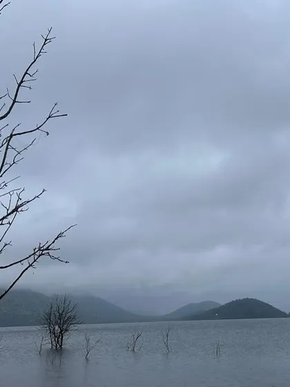 The stark beauty of submerged trees against a cloudy sky at Vani Vilas Sagar during the monsoon season.