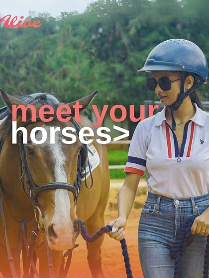 I offer unique experiences where you can meet the horses, learn the basics, and enjoy our beautiful facilities. This is a great introduction to the world of horse riding.