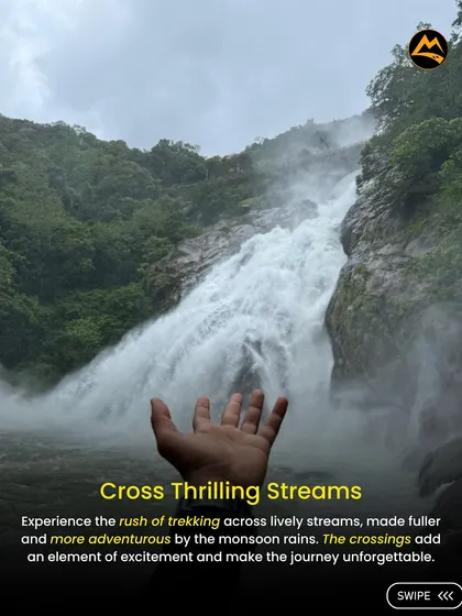 Feel the rush of crossing lively streams during our monsoon treks. The rain makes the journey more adventurous and the memories unforgettable.
