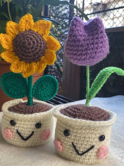 Quirky & Smiley Pots photo 7