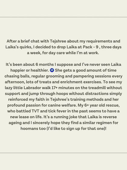 A review from Laika's guardian, who says her 6+ year old rescue has a new lease on life thanks to our daycare and training methods.