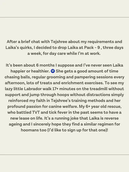 A review from Laika's guardian, who says her 6+ year old rescue has a new lease on life thanks to our daycare and training methods.