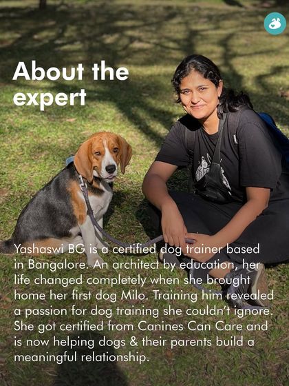 The Pack - Pet-Friendly Adventures & Meetups City Meetups & Doggie Picnics photo 45