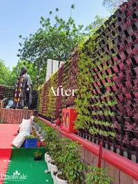 Vertical Garden Installation