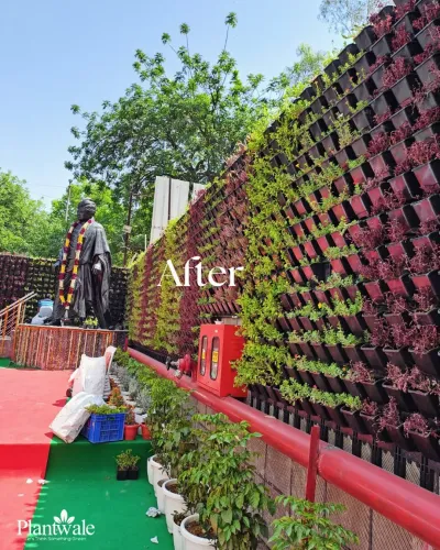 Vertical Garden Installation