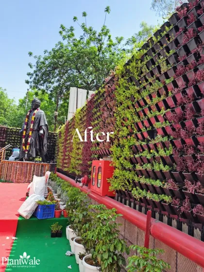 This perspective highlights the scale and impact of the vertical garden next to a statue. These installations are perfect for beautifying large, otherwise bare walls in parks, schools, or government buildings.