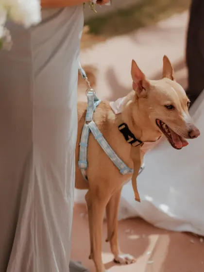 Unforgettable Ceremonies photo 12