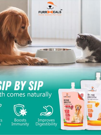 A great visual summary of the benefits of bone broth for both dogs and cats. It supports growth, boosts immunity, and improves digestibility, making it a versatile and essential supplement.