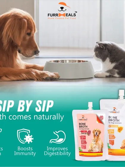 My bone broth is suitable for both dogs and cats, providing natural support for growth, immunity, and digestion. It's a simple way to care for all your furry family members.