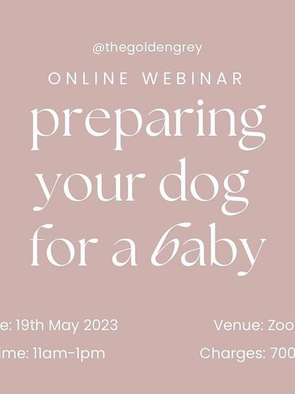 Nitika Ahlawat - Dog and Child Safety & Integration Online Workshops & Training photo 7