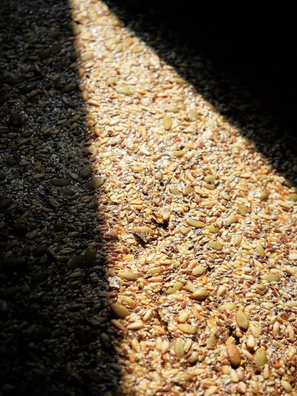 A close-up shot of the wholesome ingredients that go into our multi-seed crackers. This artistic view highlights the natural texture and goodness of the sunflower, pumpkin, and flax seeds.