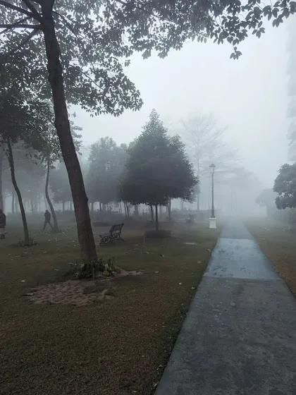 A quiet, misty scene in a Gurgaon park. The fog softens the landscape, and the lone figure walking in the distance adds a sense of scale and solitude to this winter morning shot.