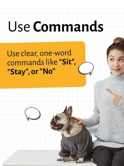 Pethowz - Pet Parent Education Positive Pet Training Guides photo 4