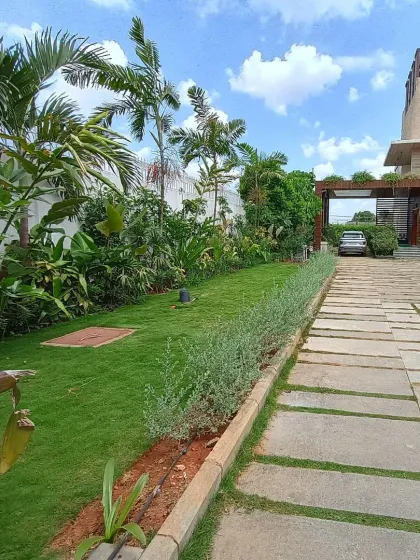 This angle shows the long driveway bordered by a neat lawn and a row of silver-leafed plants, creating a formal and elegant entrance to the property.
