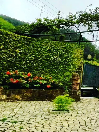 An entrance should be an experience, not just a gateway. For the FINCH eco-farms, I used earthen bunds and a living wall of creepers to create an organic form that merges completely with the hillside landscape.