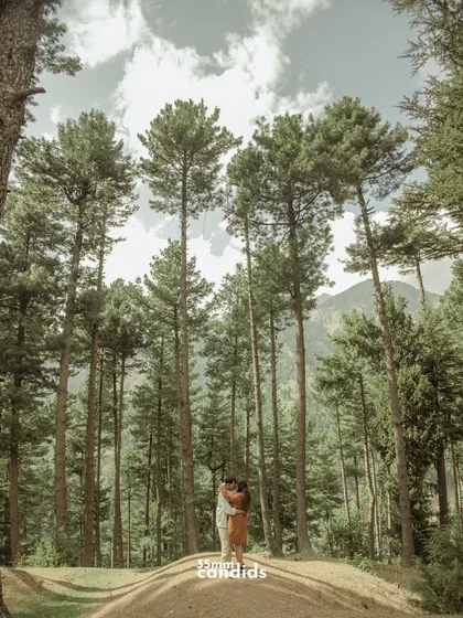A wide shot of the couple surrounded by towering pine trees. The vertical composition emphasizes the majesty of nature and the intimacy of the couple within it.