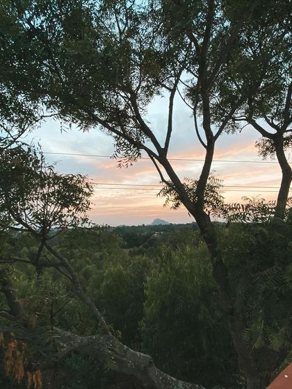 The view from the ashram rooftop, looking out over a sea of green trees towards the distant hills. This expansive view helps to expand the mind and bring a sense of peace.