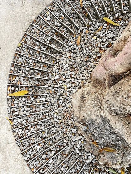 A detail of the custom-designed tree grate at MAP, showing our attention to even the smallest elements of the public realm.