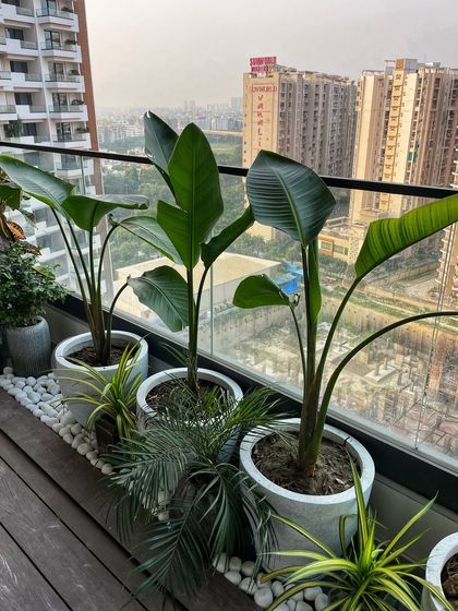 Plant Spotlights & Inspiration photo 5