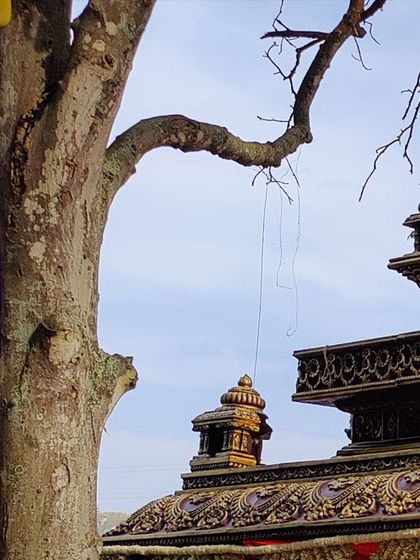 Aikyam - Wedding Decoration Sacred Muhurtham Mandaps photo 17