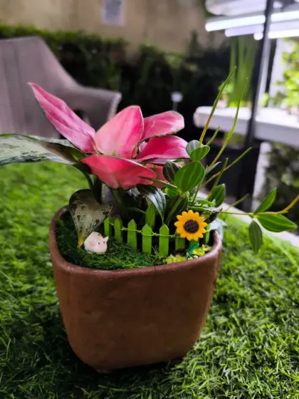 For Women's Day, we have a stunning array of plants to delight the special women in your life. From mini landscapes and terrariums to elegant potted plants, a green gift is a gift of life.