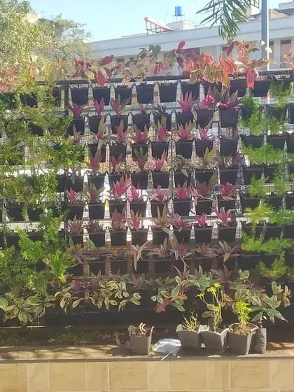 A vertical garden is a statement piece that transforms any blank wall. Here is a section of a large-scale living wall I designed and installed, using a pattern of different plant species to create texture and color. This is a great solution for adding lots of greenery without losing floor space.